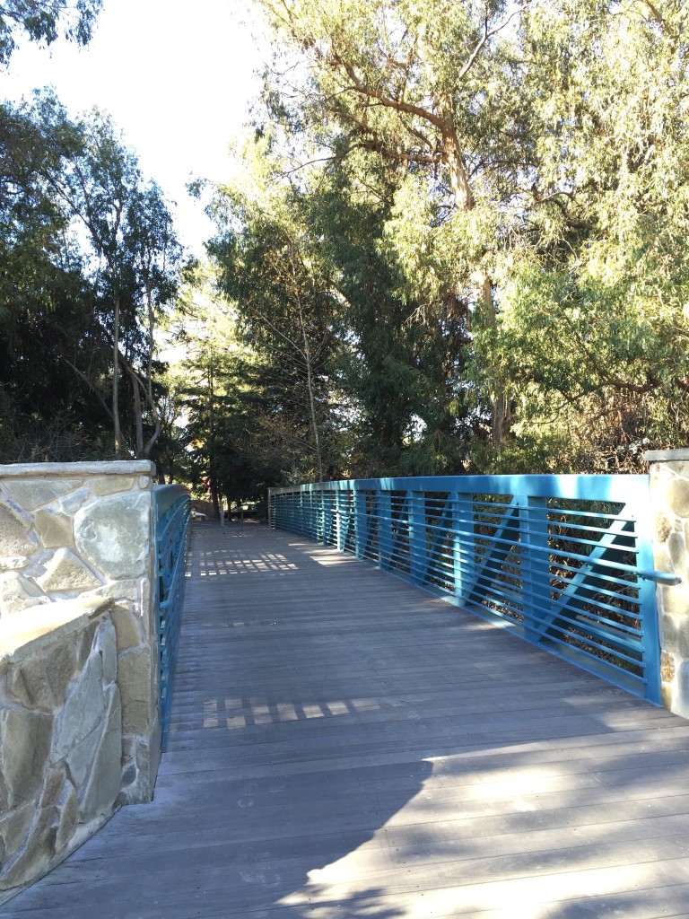 Bridge to Stevens Creek Trail